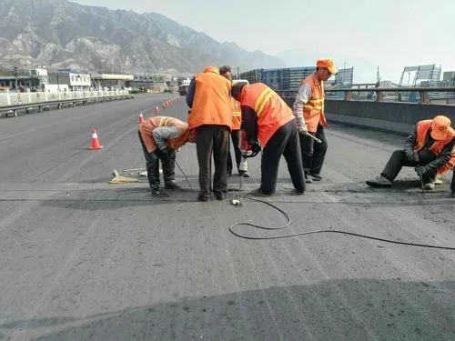 崇明道路桥梁病害治理